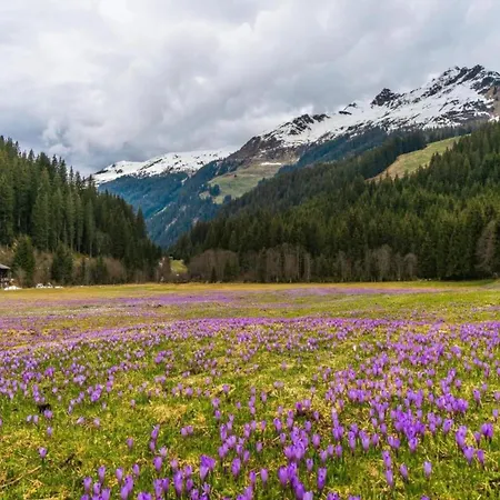 Apartment In Near Hochzillertal Skiing Fügen