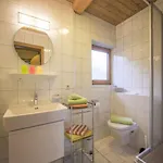 Apartman In Near Hochzillertal Skiing Fügen